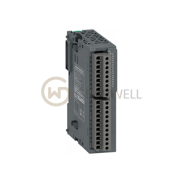 Schneider Electric TM3RDM16R Discrete I/O Module