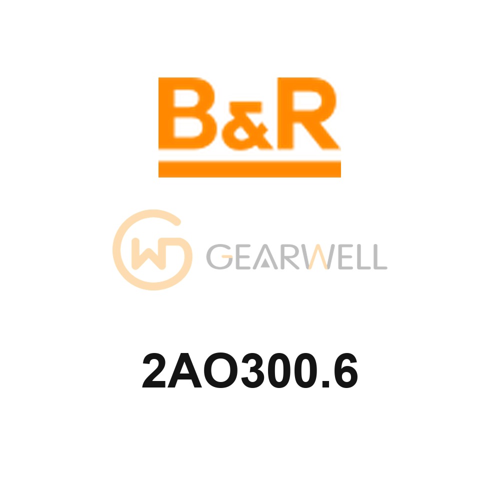 B&R 2AO300.6 System 2010 Analog Output Module