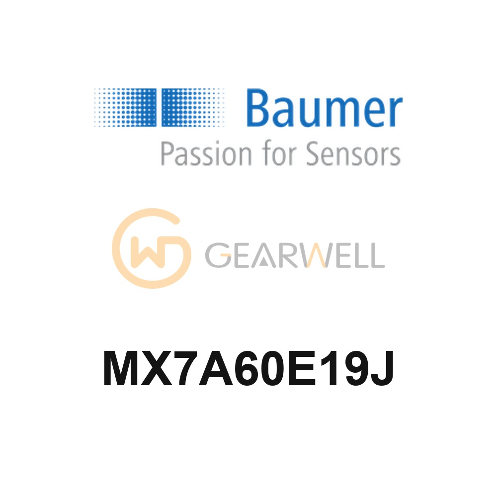 BAUMER MX7A60E19J Process Instrument