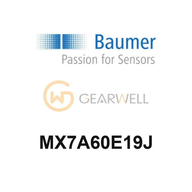 BAUMER MX7A60E19J Process Instrument
