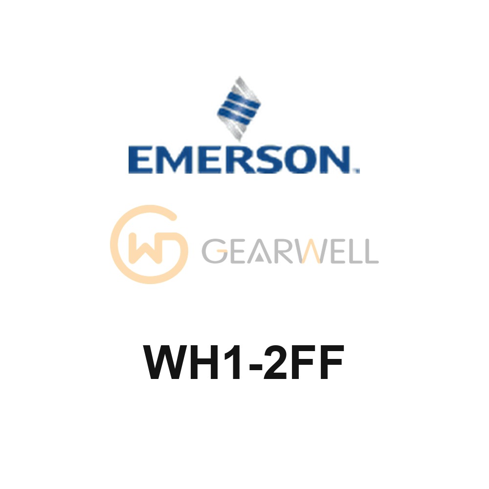 EMERSON WH1-2FF Control System Module