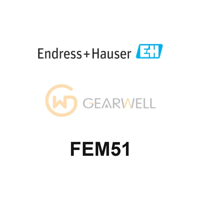 Endress+Hauser FEM51 Liquiphant Electronic Insert