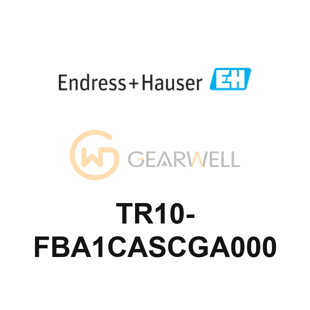 Endress+Hauser TR10-FBA1CASCGA000 Omnigrad M Modular RTD Thermometer