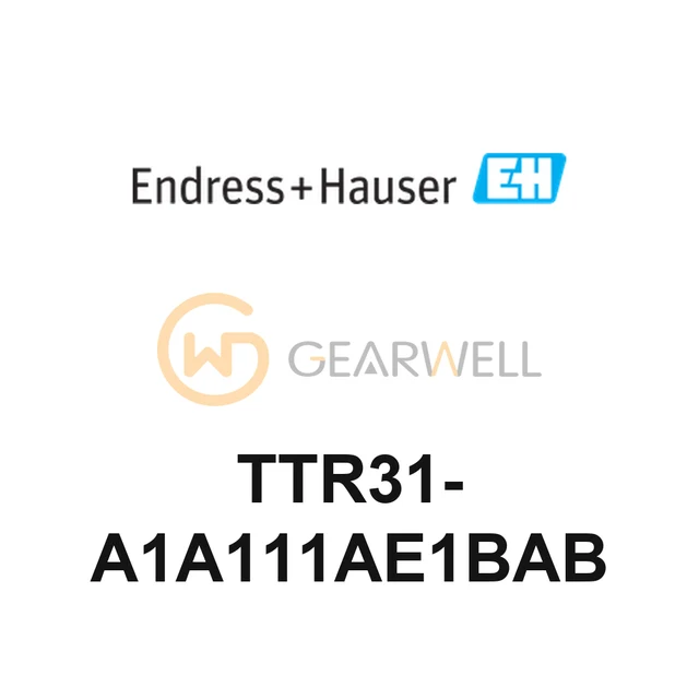 Endress+Hauser TTR31-A1A111AE1BAB Thermophant T Temperature Switch
