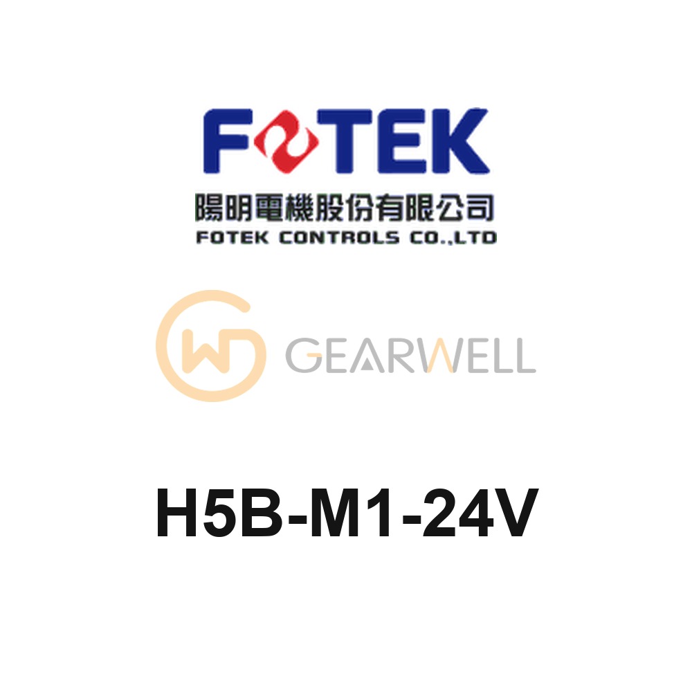 FOTEK H5B-M1-24V Timer