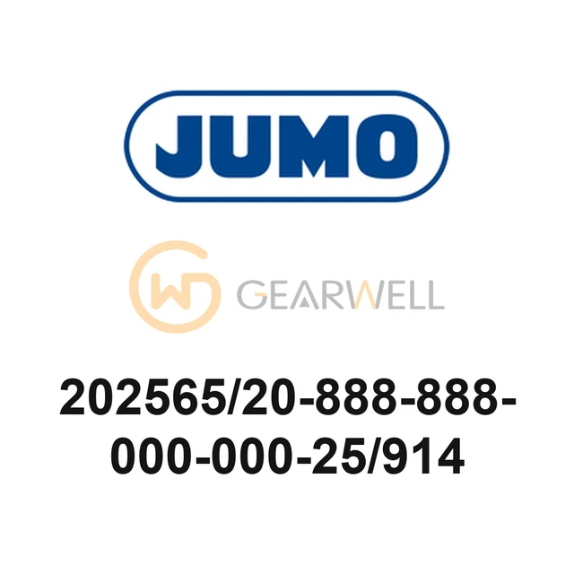 JUMO 202565/20-888-888-000-000-25/914 Conductivity Measuring Device