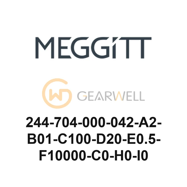 Meggitt 244-704-000-042-A2-B01-C100-D20-E0.5-F10000-C0-H0-I0