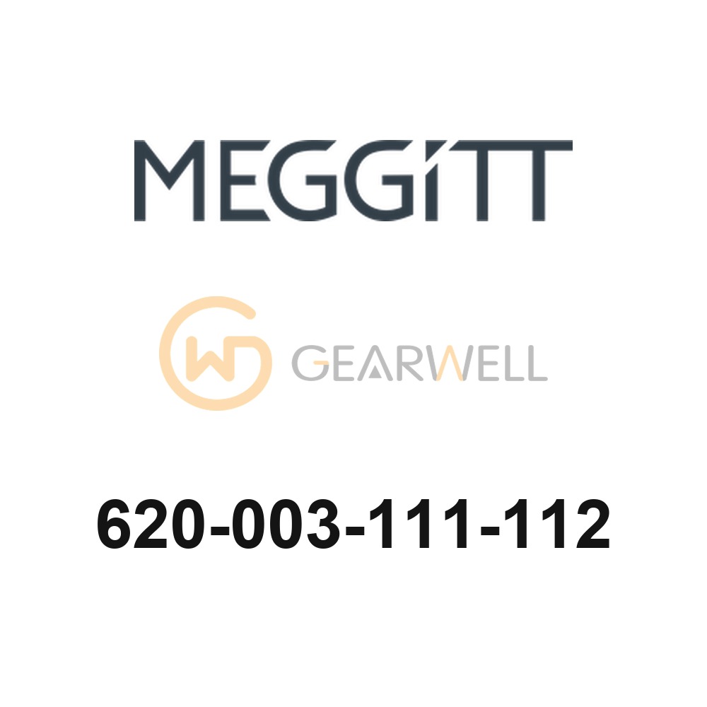 Meggitt 620-003-111-112 VM600 Monitoring System Module
