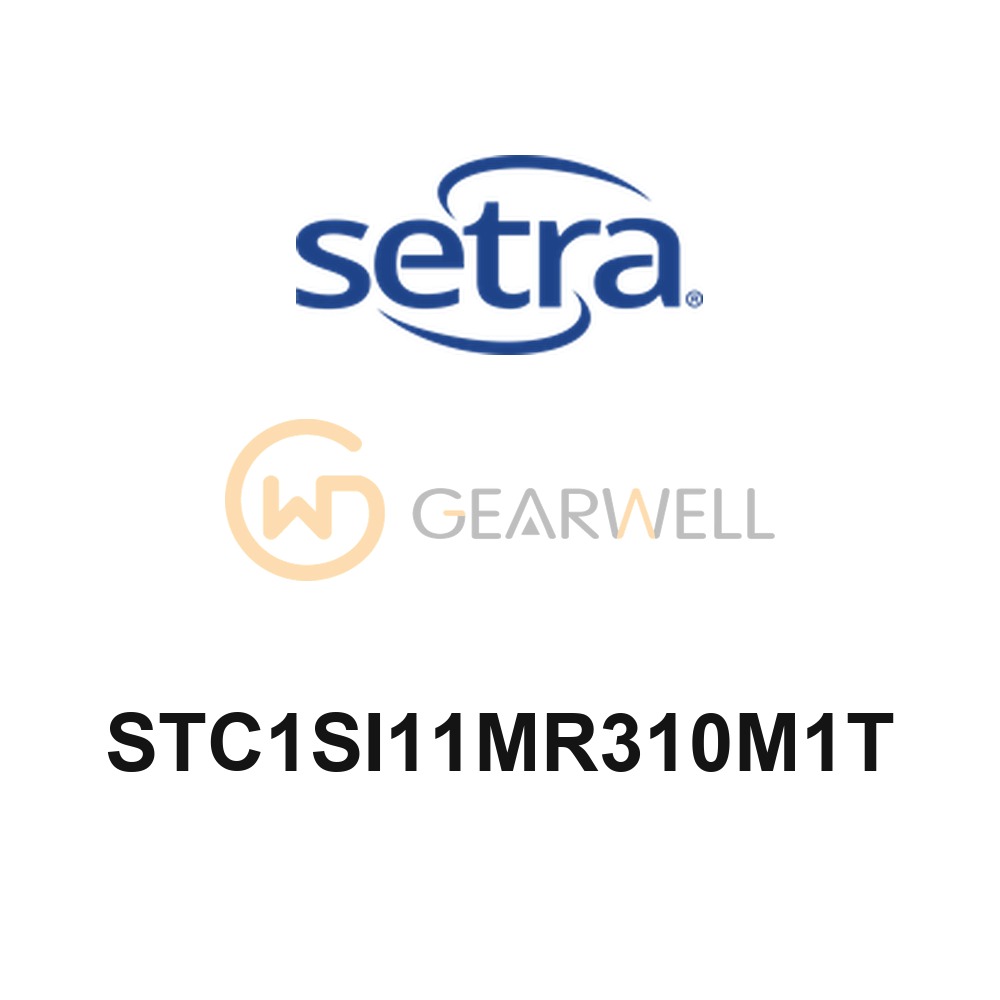 Setra STC1SI11MR310M1T Model STC Immersion Temperature Transmitter