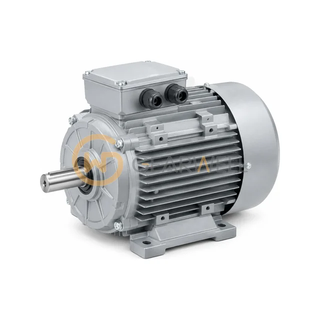 SPG S9I60KA-S12CE S9I60 60W Induction Motor