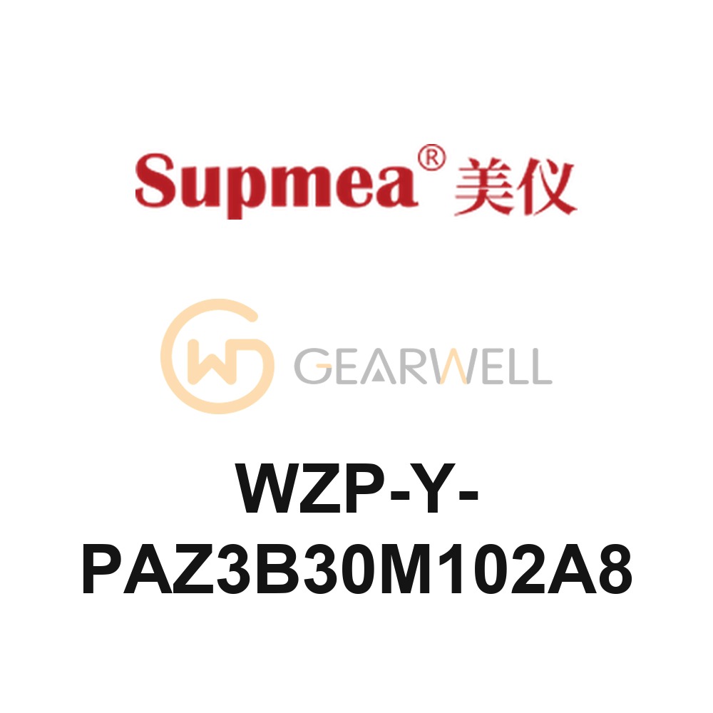 Supmea WZP-Y-PAZ3B30M102A8 Lead-Wire RTD Sensor