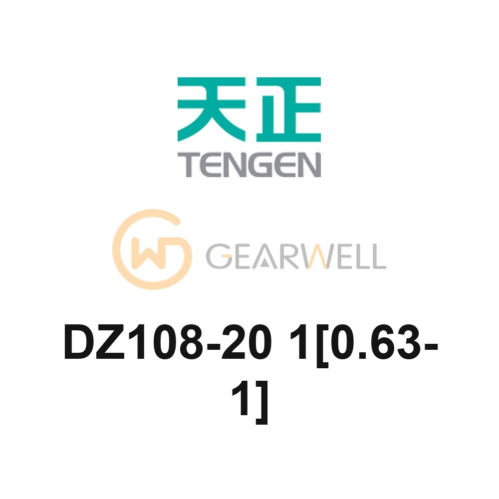 TENGEN DZ108-20 1[0.63-1] DZ108 Motor Protection Circuit Breaker