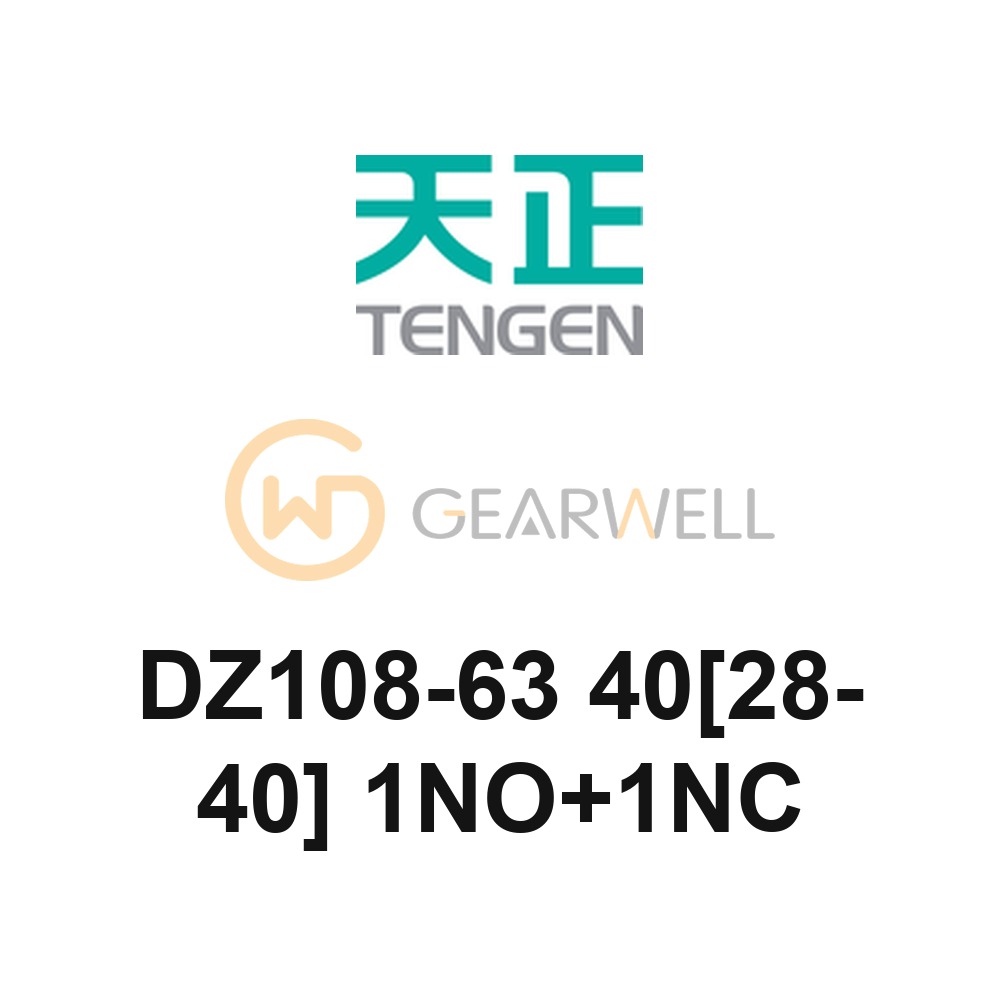 TENGEN DZ108-63 40[28-40] 1NO+1NC DZ108 Motor Protection Breaker