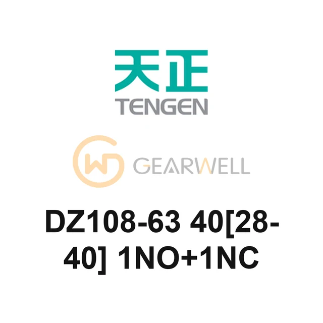 TENGEN DZ108-63 40[28-40] 1NO+1NC DZ108 Motor Protection Breaker
