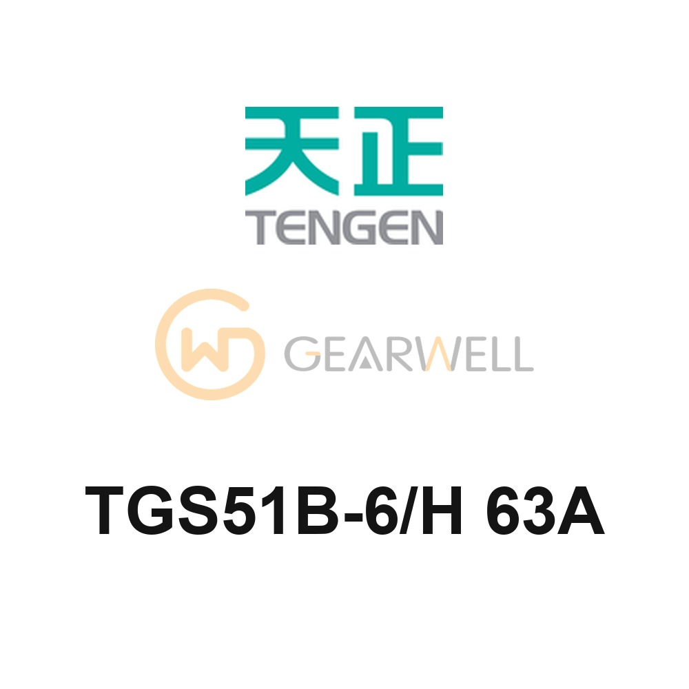 TENGEN TGS51B-6/H 63A TGS51 Magnetic Motor Starter
