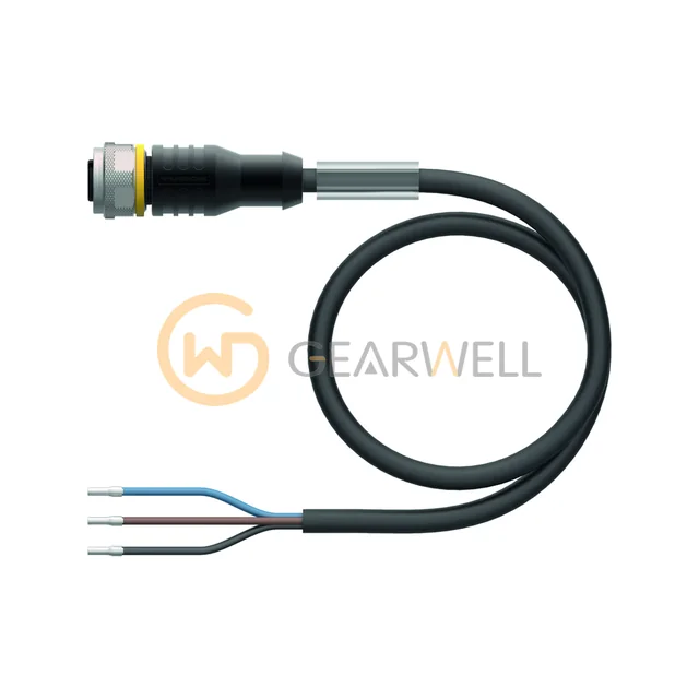 Turck RKC4T-2/TEL M12 Sensor Connection Cable