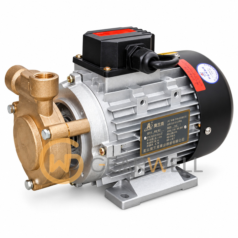 AULANK WS pump